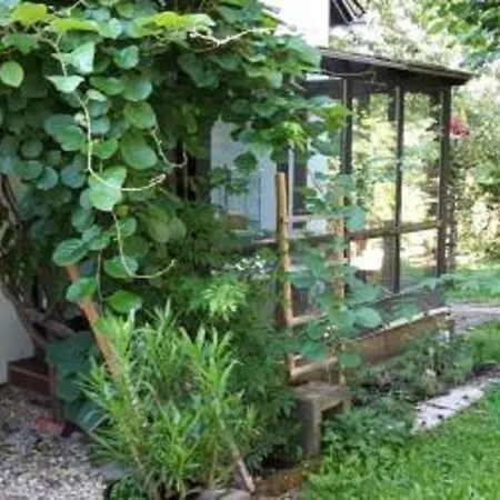 Appartamento Ferienwohnung Noll Ratisbona